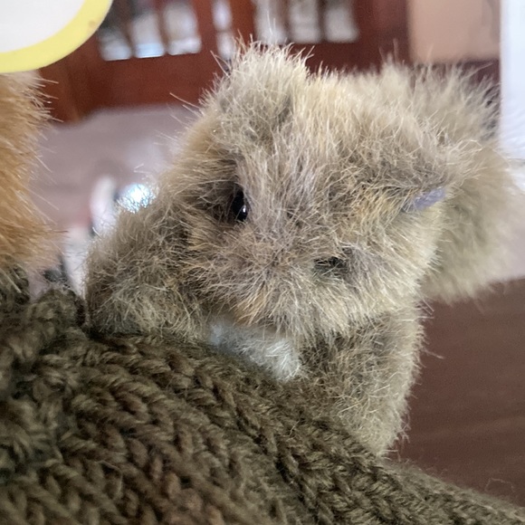 Bearington Collection, Harley & Squirrely - Picture 6 of 6